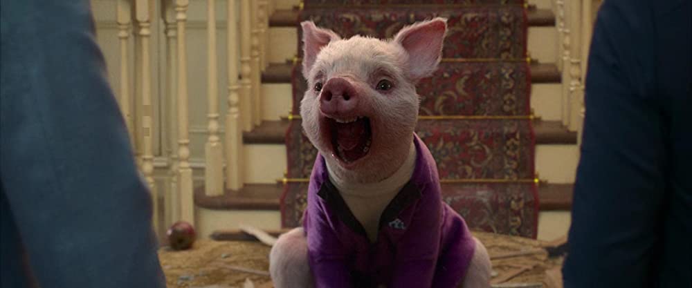 ピーターラビットの画像