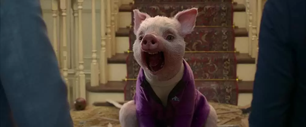 ピーターラビットの画像