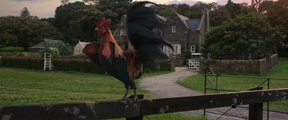 ピーターラビットの画像