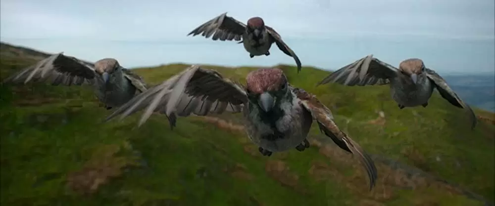 ピーターラビットの画像