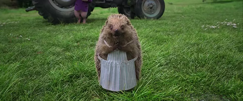 ピーターラビットの画像