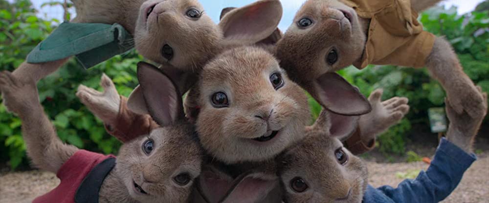 ピーターラビットの画像