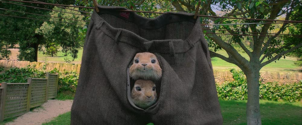 ピーターラビットの画像