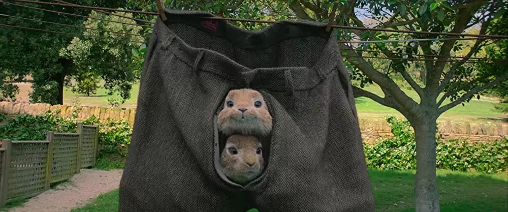 ピーターラビットの画像