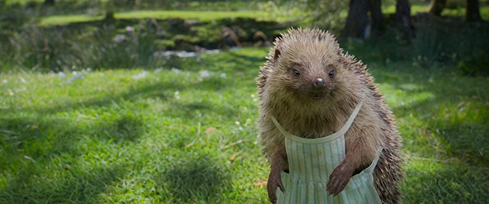 ピーターラビットの画像