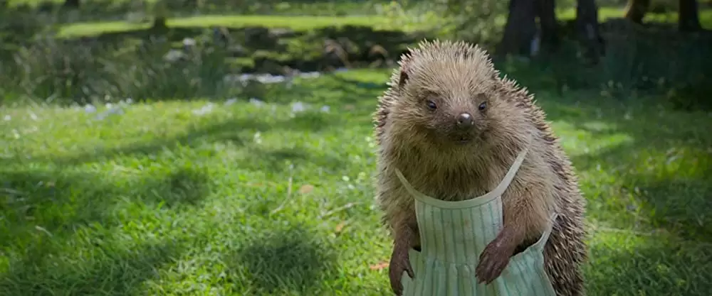 ピーターラビットの画像