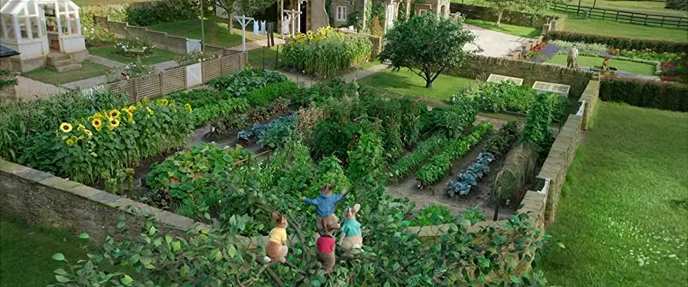 ピーターラビットの画像