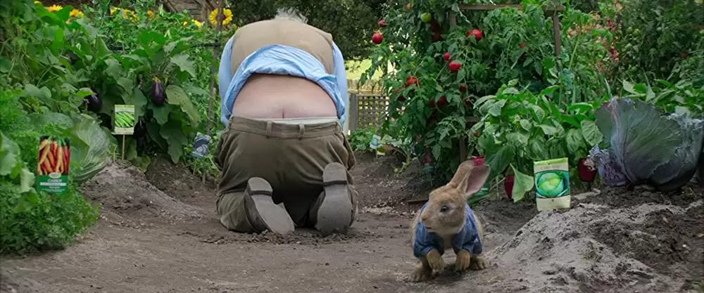 ピーターラビットの画像