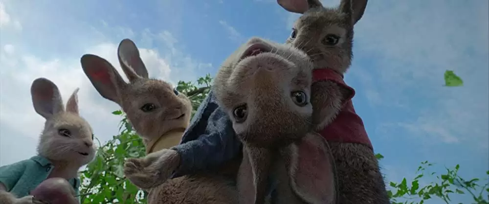 ピーターラビットの画像