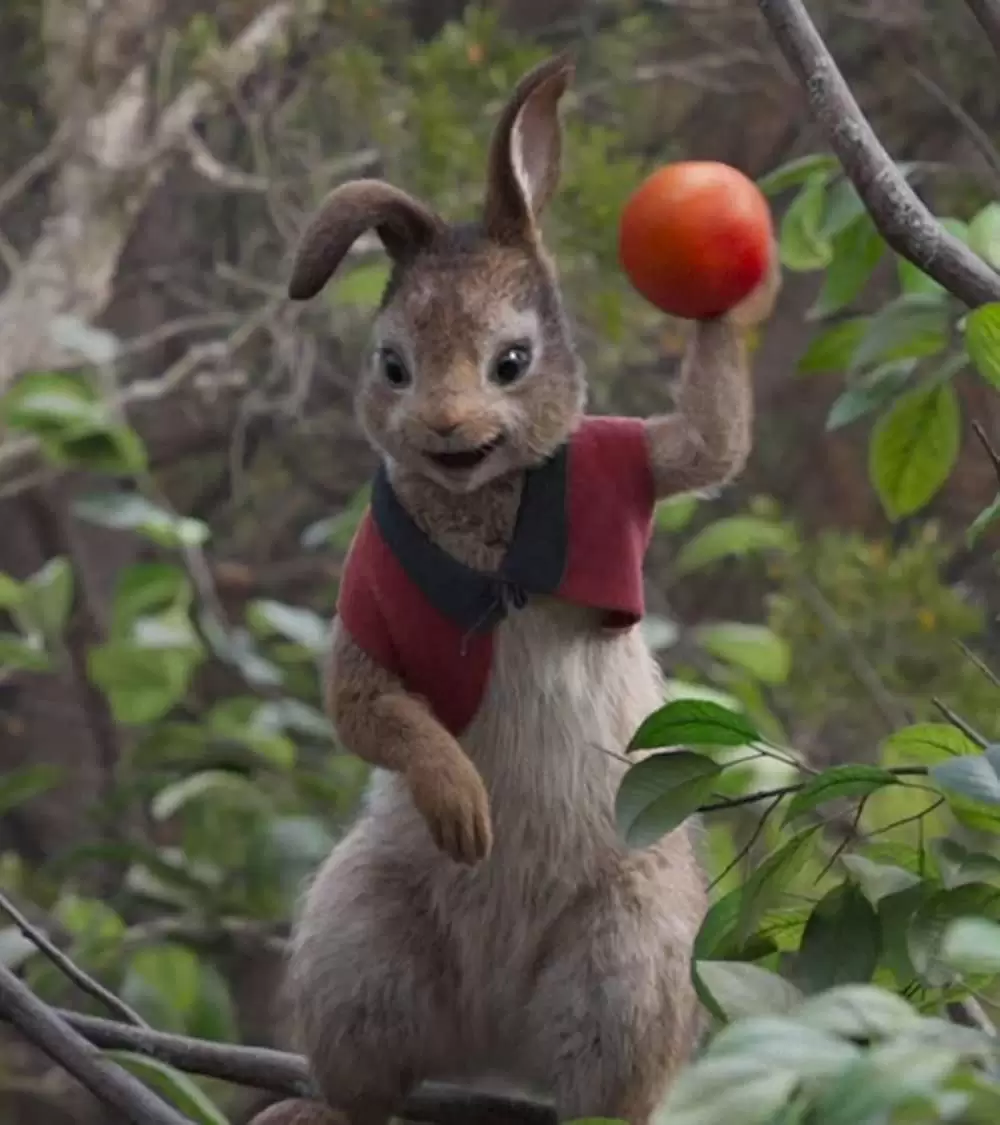 ピーターラビットの画像