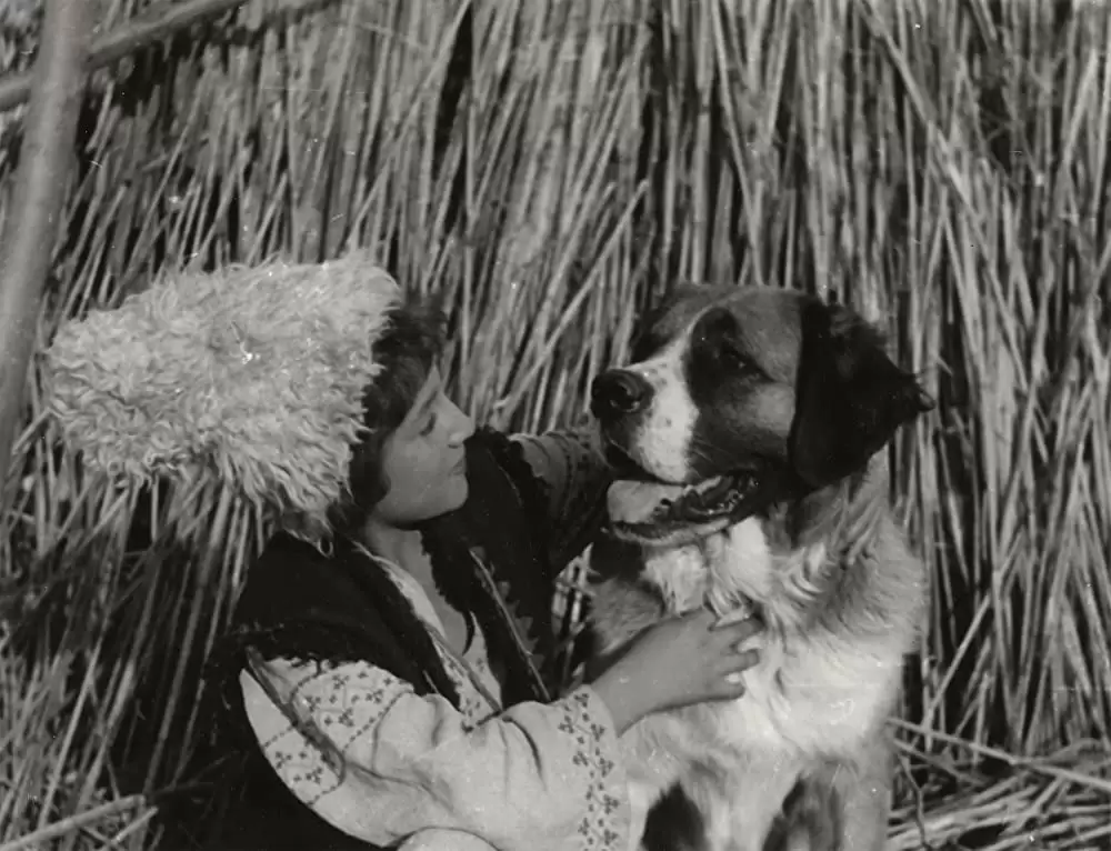 アンドリエーシの画像