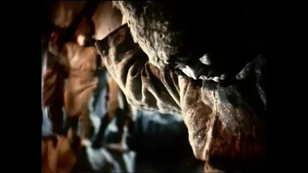 アンドリエーシの画像