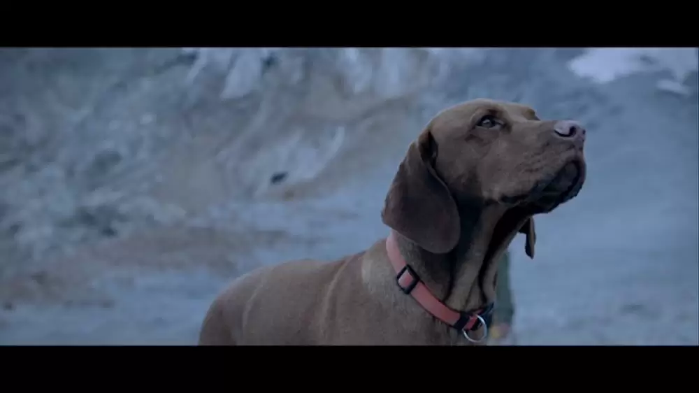 パラサイト・クリーチャーズの画像