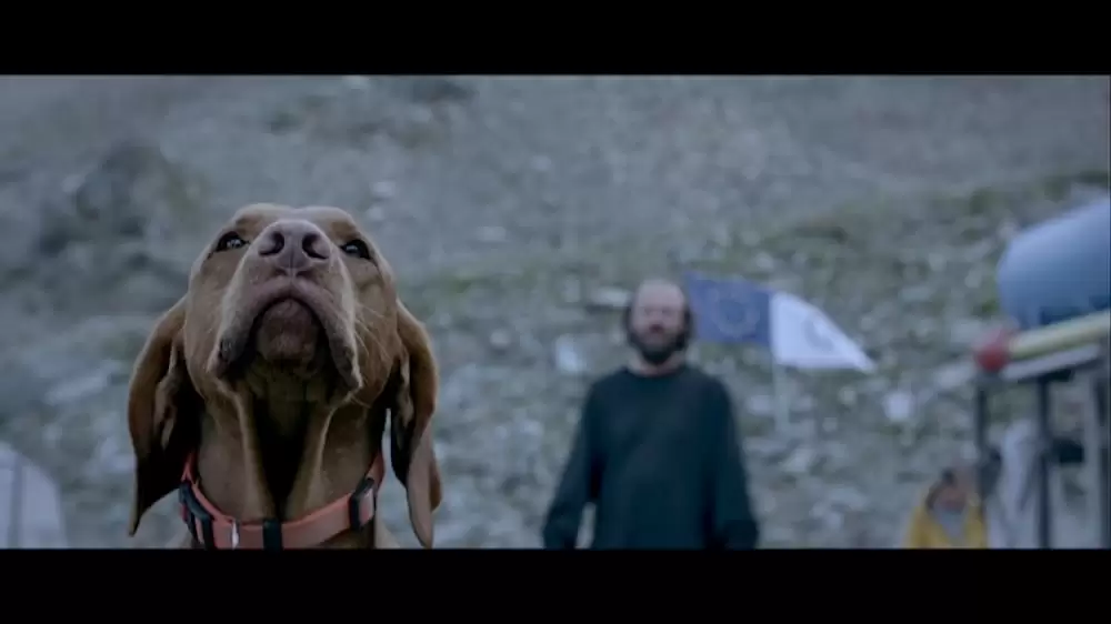 パラサイト・クリーチャーズの画像