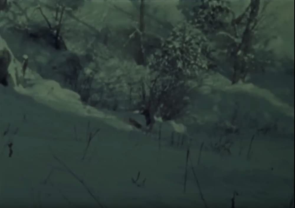 DOG STAR MAN [完全版]の画像