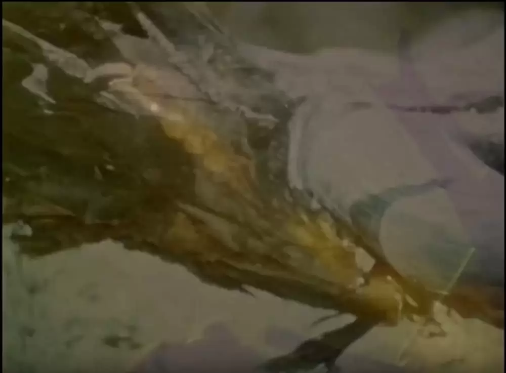 DOG STAR MAN [完全版]の画像