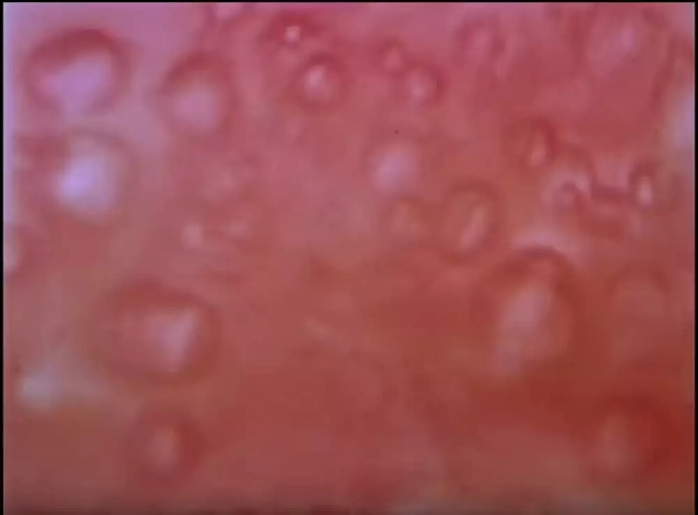 DOG STAR MAN [完全版]の画像