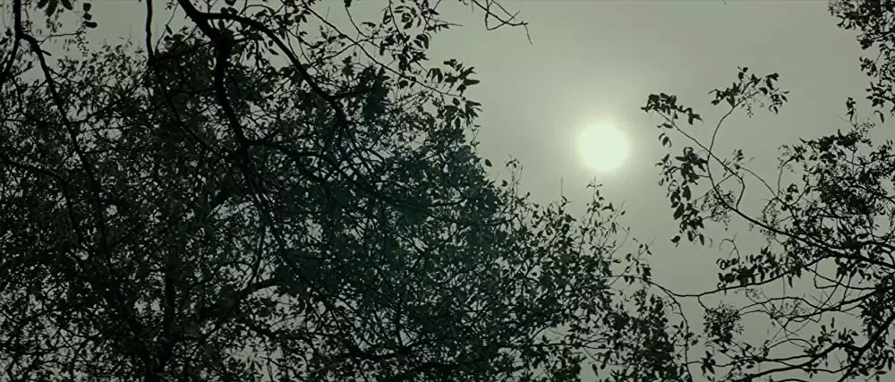 ギリシャに消えた嘘の画像