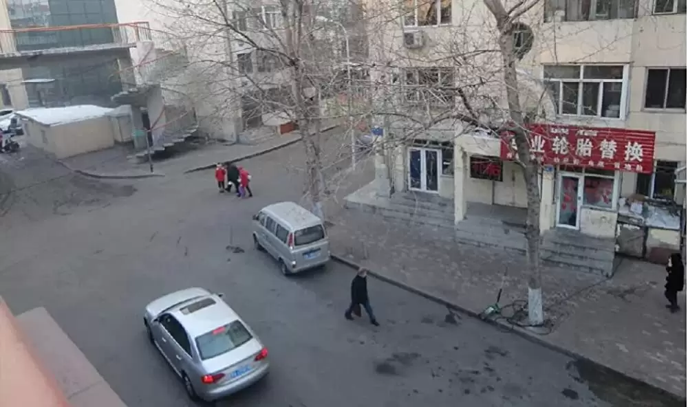 薄氷の殺人の画像