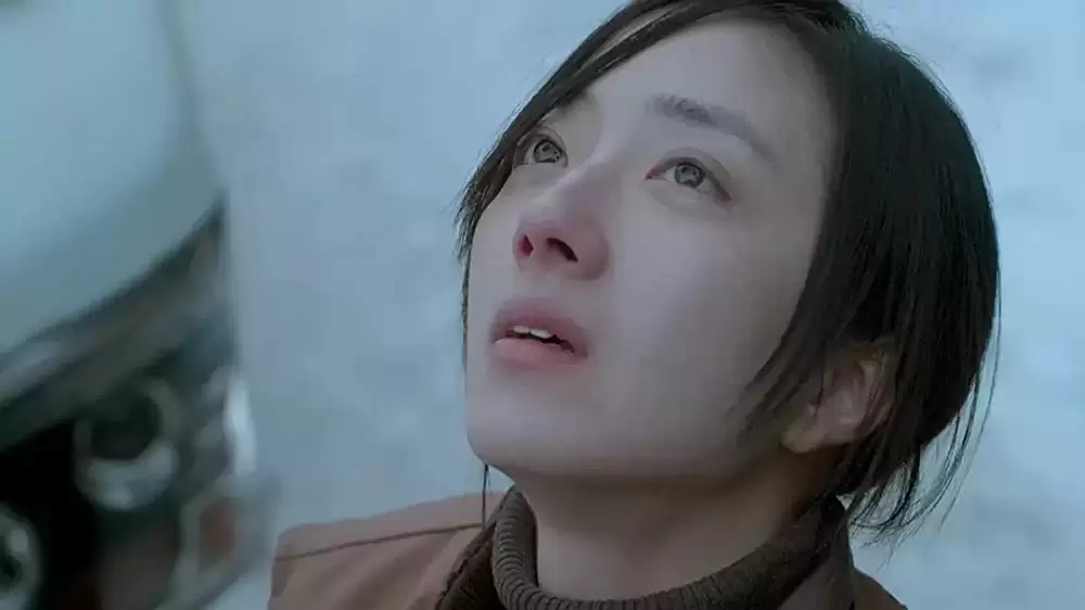 薄氷の殺人の画像