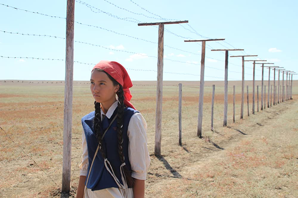 草原の実験の画像