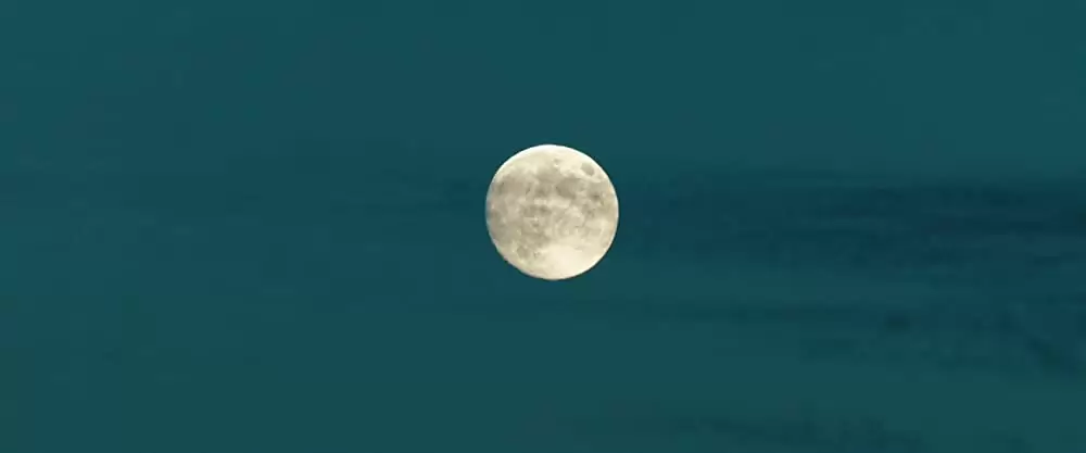 美しき獣の画像