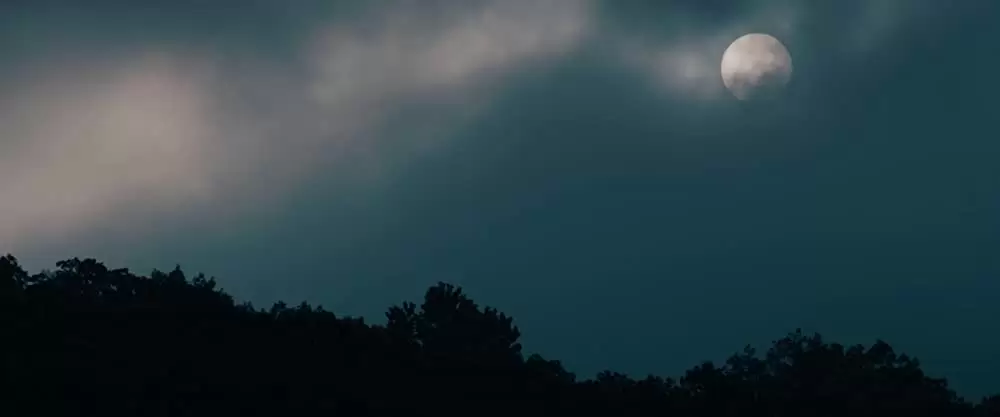 美しき獣の画像