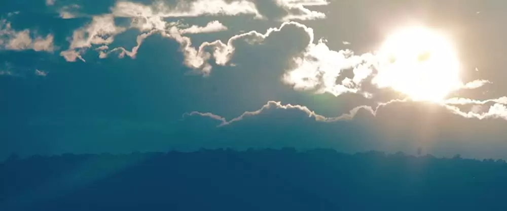 美しき獣の画像