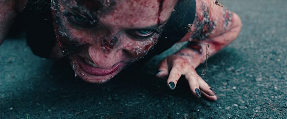 美しき獣の画像