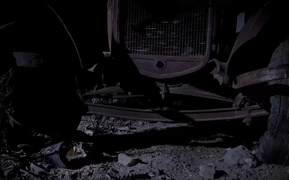 小さな世界はワンダーランドの画像