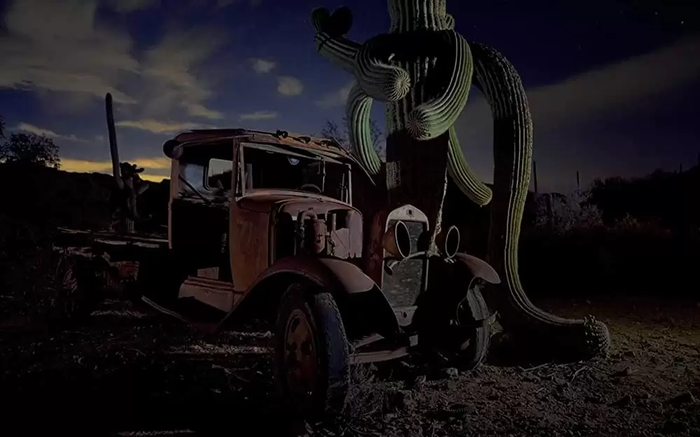 小さな世界はワンダーランドの画像