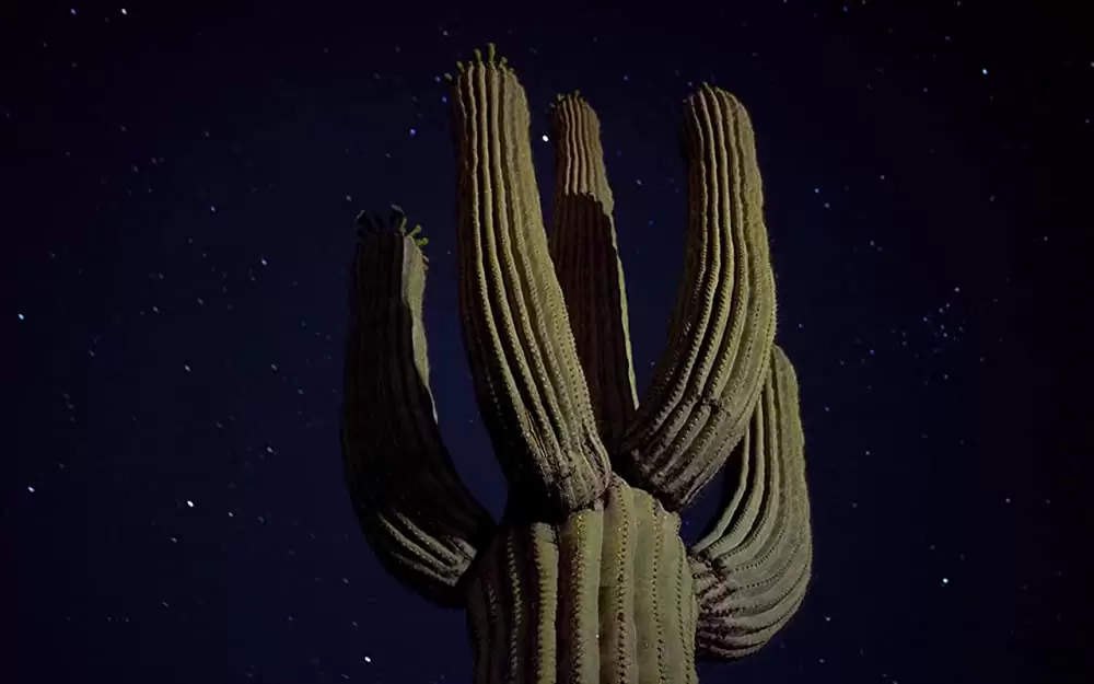 小さな世界はワンダーランドの画像