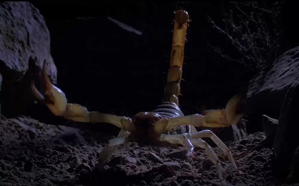 小さな世界はワンダーランドの画像