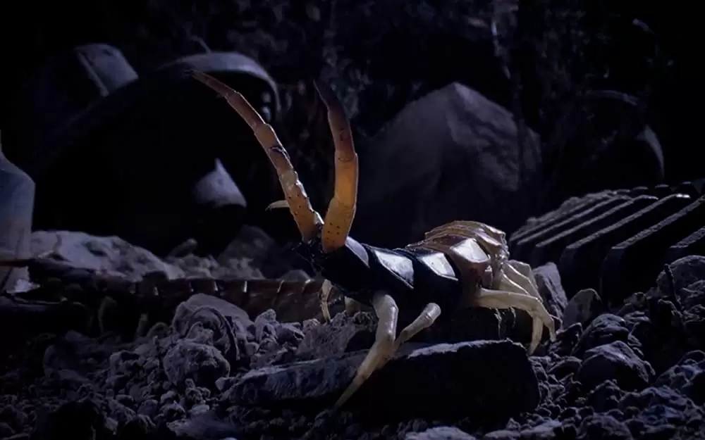 小さな世界はワンダーランドの画像