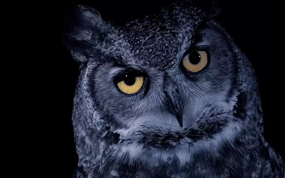 小さな世界はワンダーランドの画像