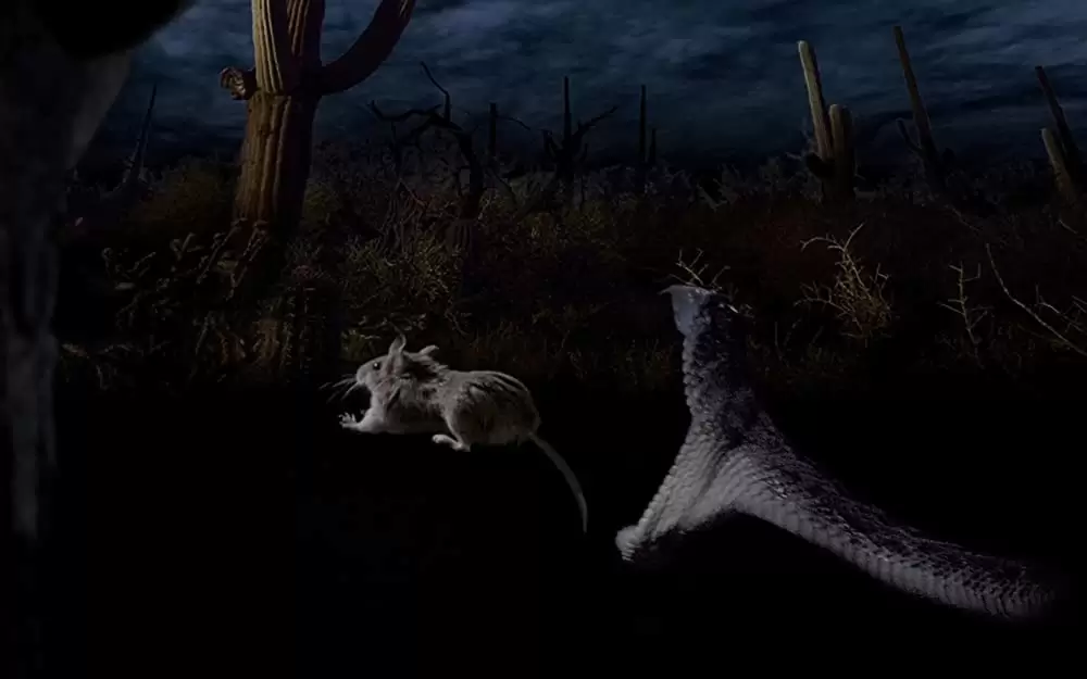 小さな世界はワンダーランドの画像