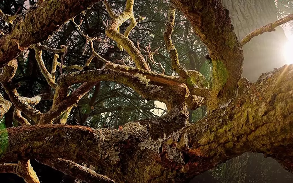 小さな世界はワンダーランドの画像