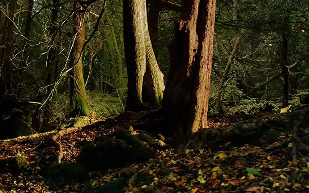 小さな世界はワンダーランドの画像