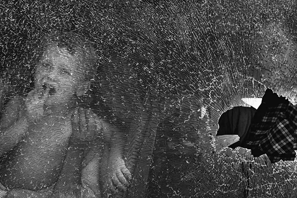 セバスチャン・サルガド 地球へのラブレターの画像