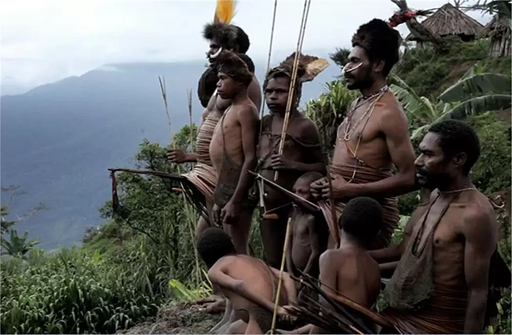 「セバスチャン・サルガド 地球へのラブレター」の画像