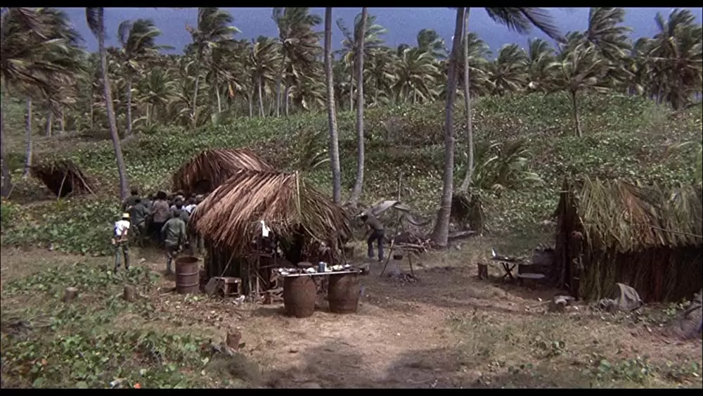 ウディ・アレンのバナナの画像