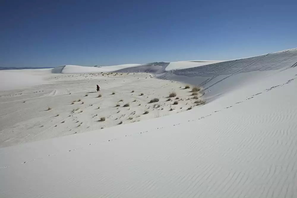 ザ・マミー ～ファラオの秘宝～の画像