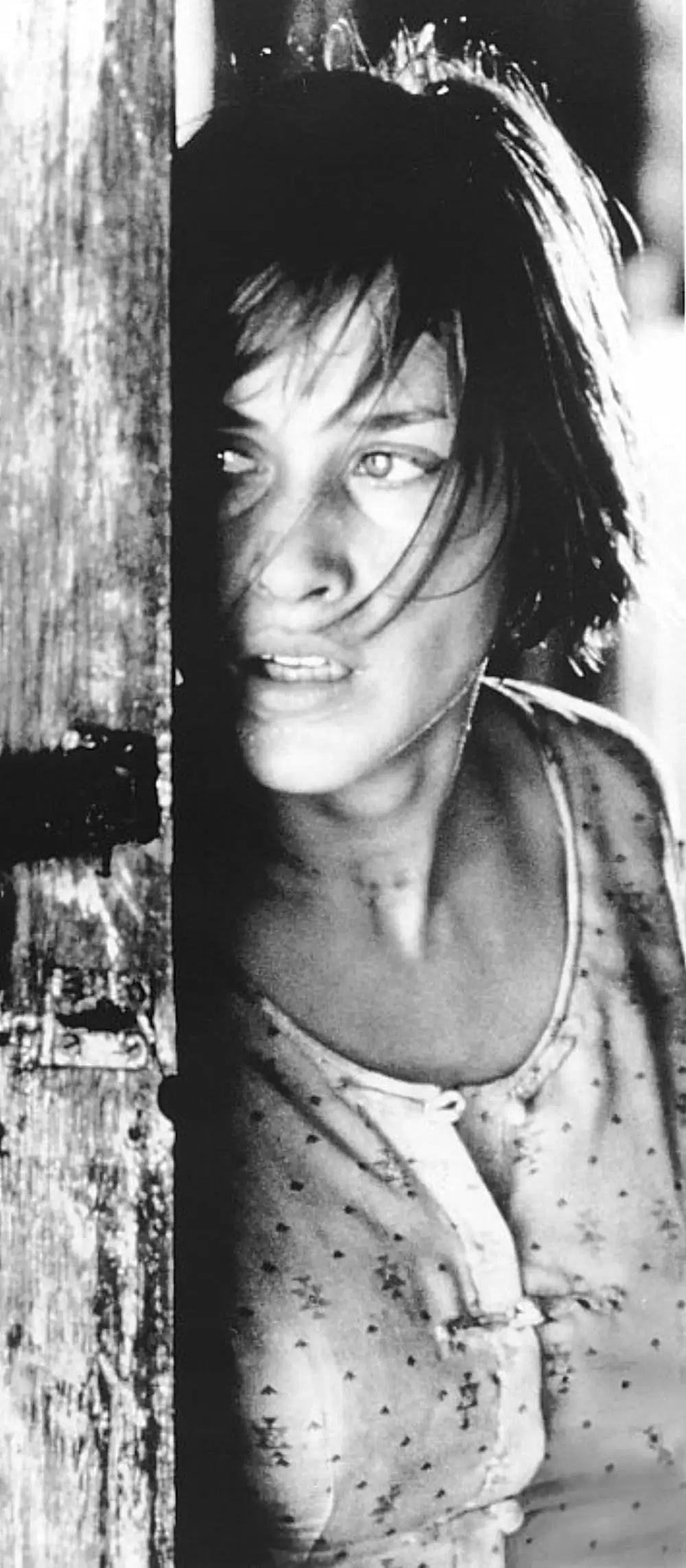 ラングーンを越えての画像