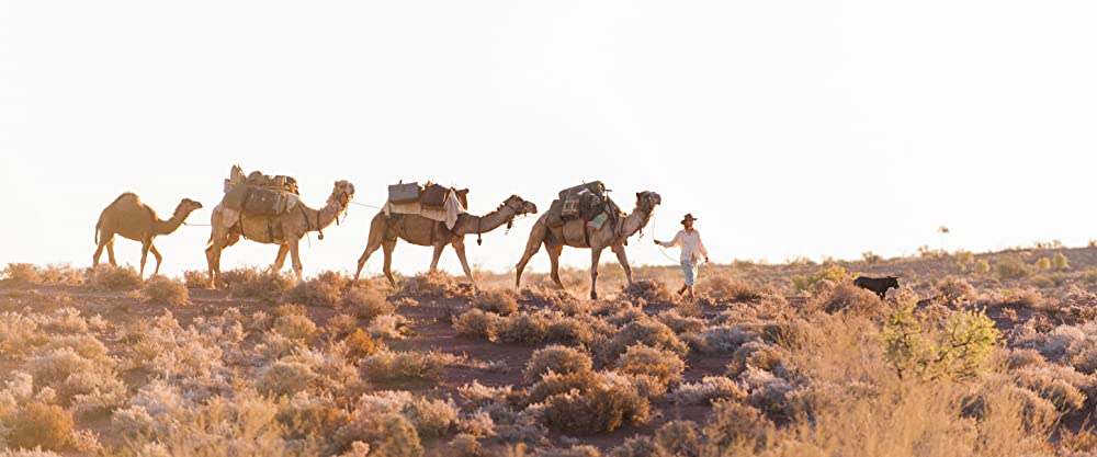 奇跡の2000マイルの画像