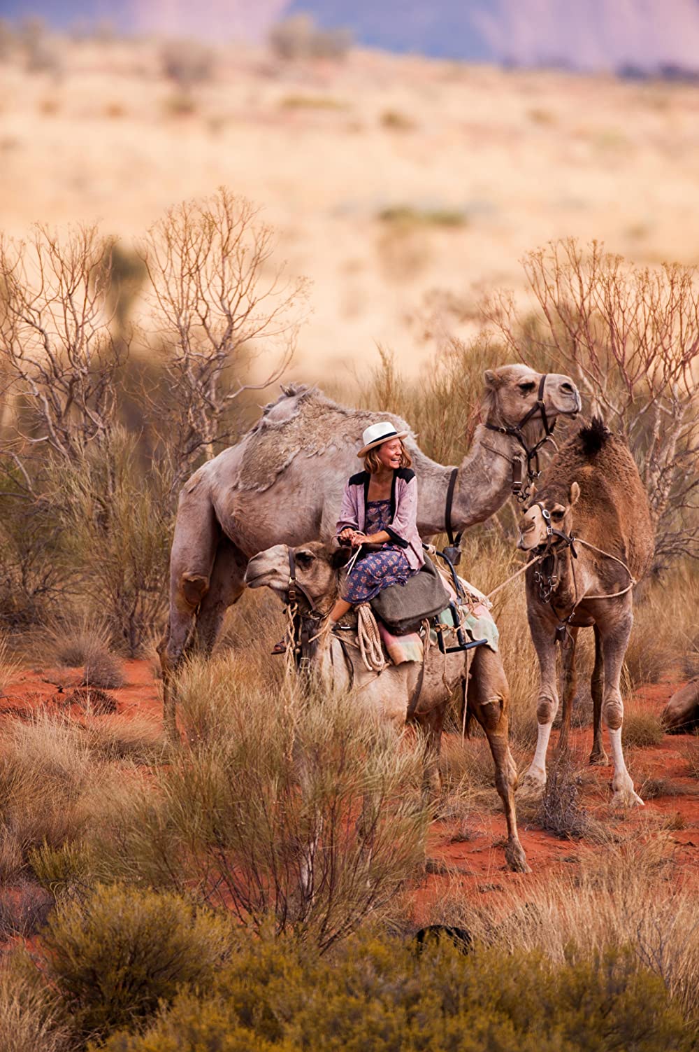 奇跡の2000マイルの画像
