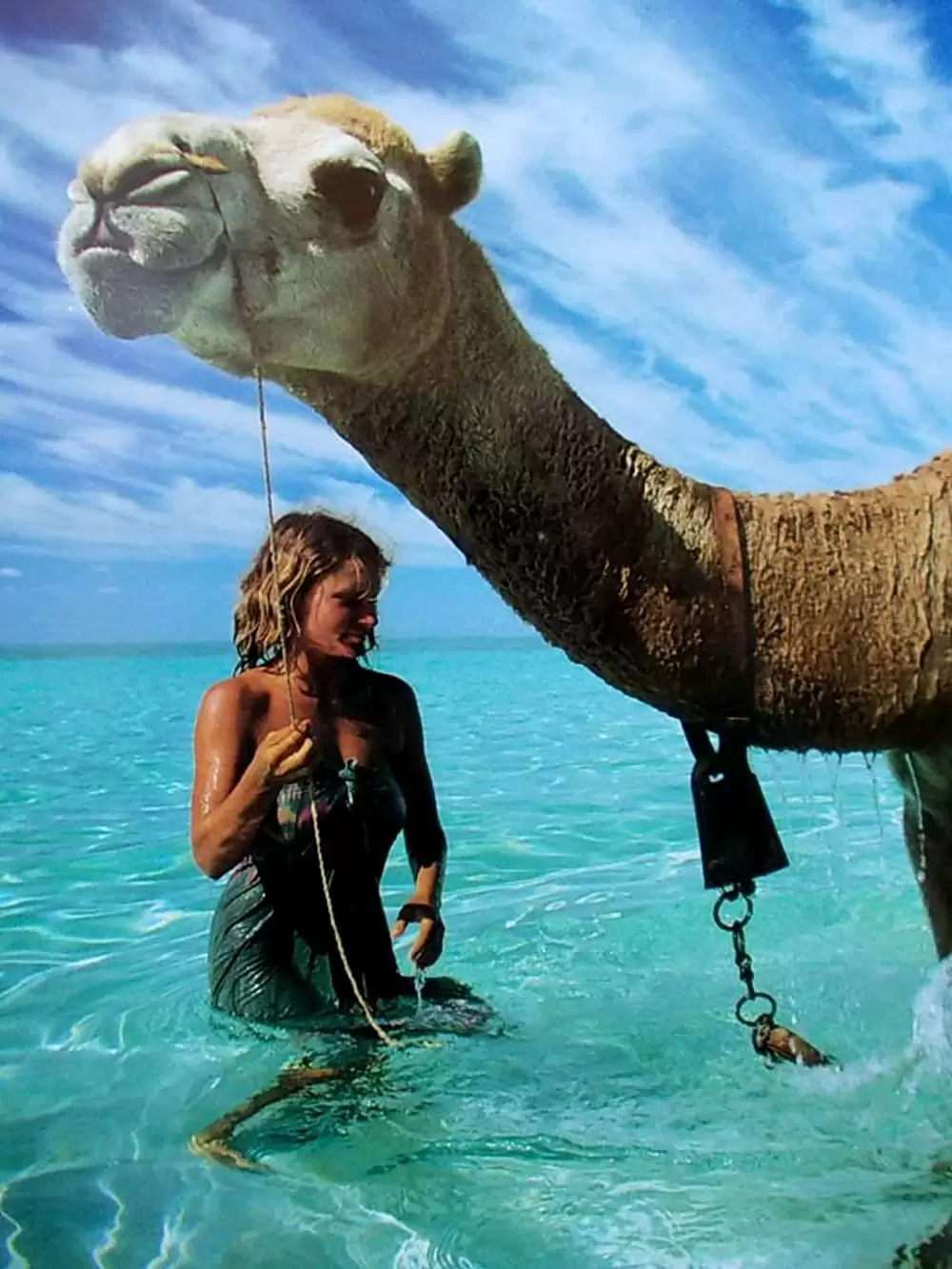 「奇跡の2000マイル」ミア・ワシコウスカの画像