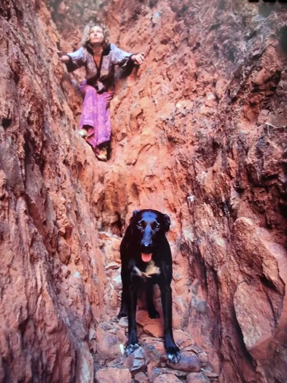 「奇跡の2000マイル」ミア・ワシコウスカの画像