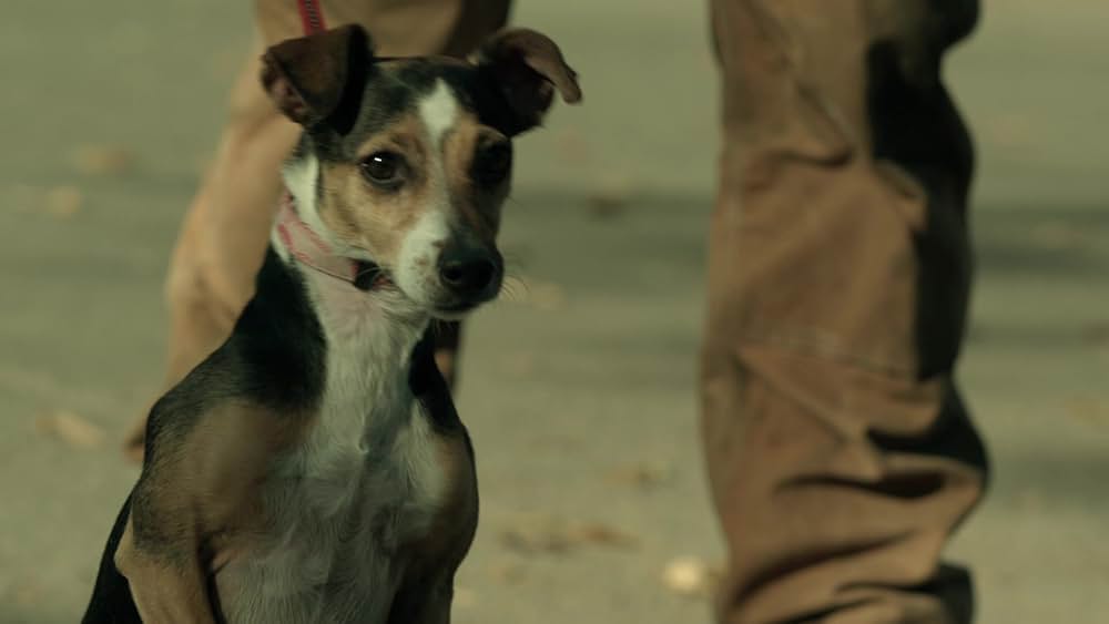 ウルフ・コップの画像