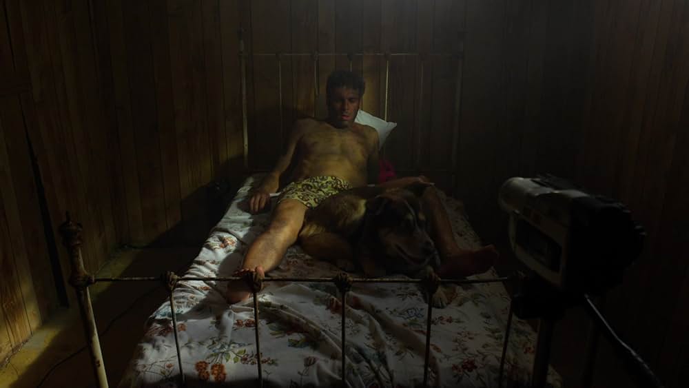 ウルフ・コップの画像