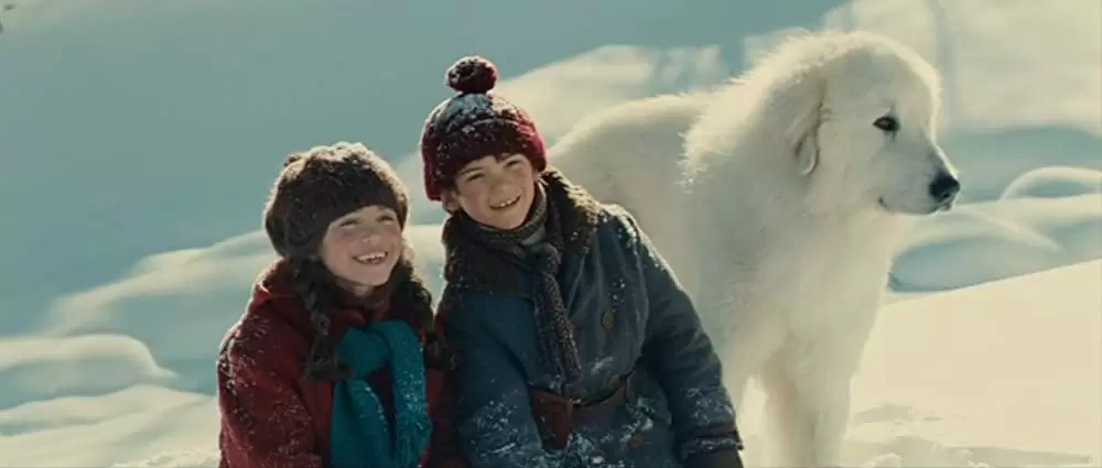 「ベル＆セバスチャン」フェリックス・ボシュエの画像